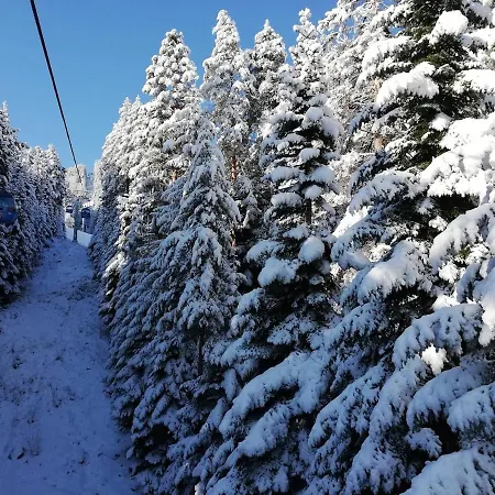 Winslow Infinity - Apartament *