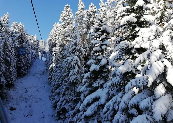 Winslow Infinity - Apartamento *